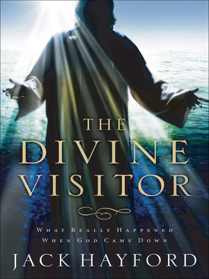 cover image of The Divine Visitor
